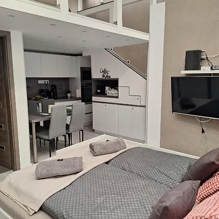 Larina Apartament *
